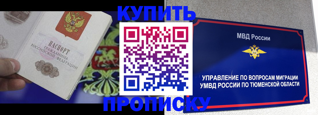 прописка 2026 в Мончегорске